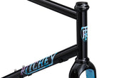 Ritchey Outback 2025 Aurora head tube