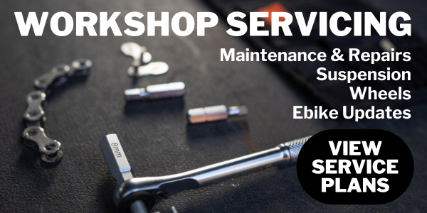 Workshop Servicing