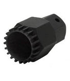 BBT 22