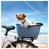 basil buddy lifestyle1
